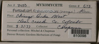 Image Associated With the Occurence